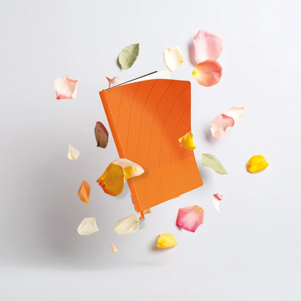 İstinye-MR Tarihsiz Defter - Görsel 3